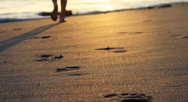 La huella profesional